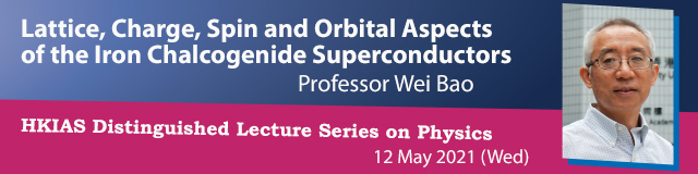 Lattice, Charge, Spin and Orbital Aspects of the Iron Chalcogenide Superconductors
