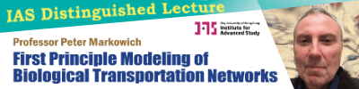 First Principle Modeling of Biological Transportation Networks